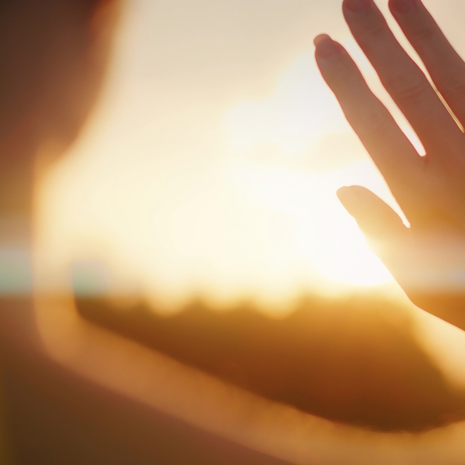 Woman streches her hand to setting sun. Girl touches the rays of light. Sunset on field on a warm summer evening. Happiness and enjoyment of the beauty of nature.